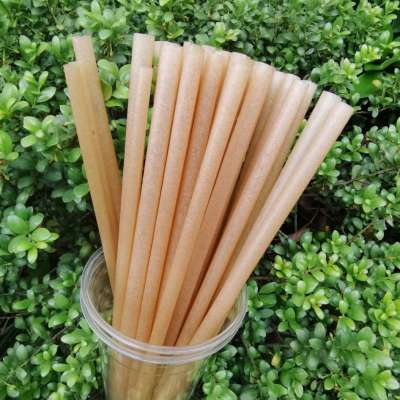 Biopoly custom biodegradable compostible PLA sugarcane fiber straight straw