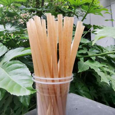 Biopoly Eco Friendly biodegradable compostible PLA sugarcane fiber straight straw