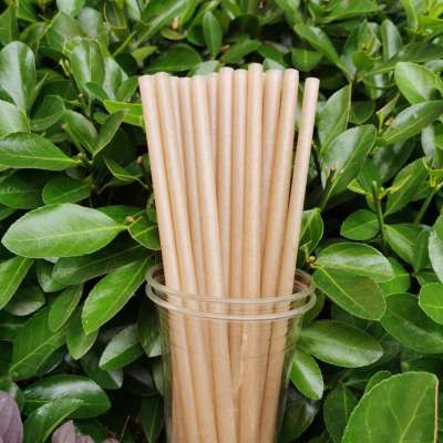 Enviroment Friendly biodegradable compostible PLA sugarcane straight straw